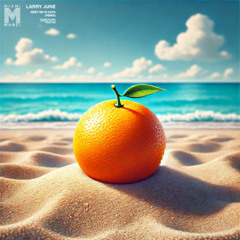 Larry June - Meet Me In Napa (Miami Marci Remix)