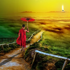 Mindful Journey