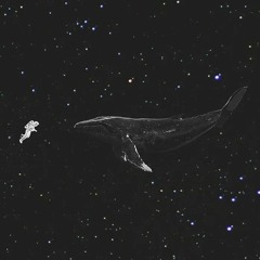 Undertravel  (prod. Undertravel)RARE DEMO nomaster