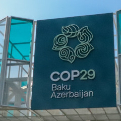 COP 29 Halfway Point Webinar