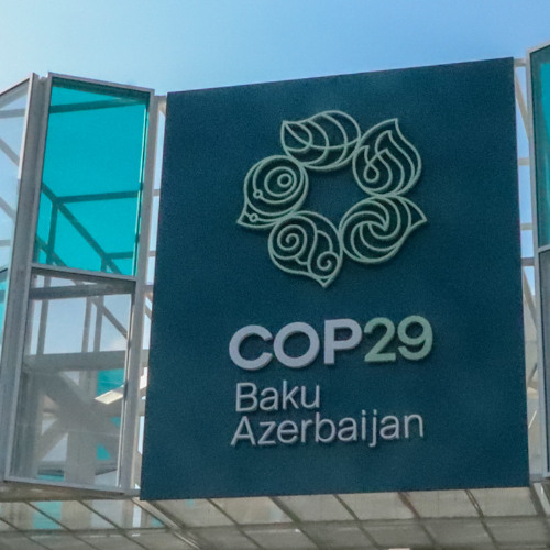 COP 29 Halfway Point Webinar