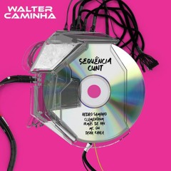 SEQUÊNCIA CUNT - REMIX (PIX/PAYPAL)