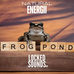 Frog Pond | LOCKED SOUNDS