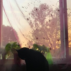stranger_danger.demo