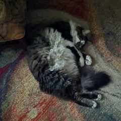 New Year 2024 Indo-House Mix