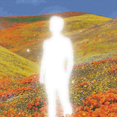 [FREE] "THE HIGHEST SYNTH" - meadow rage | cozyKID