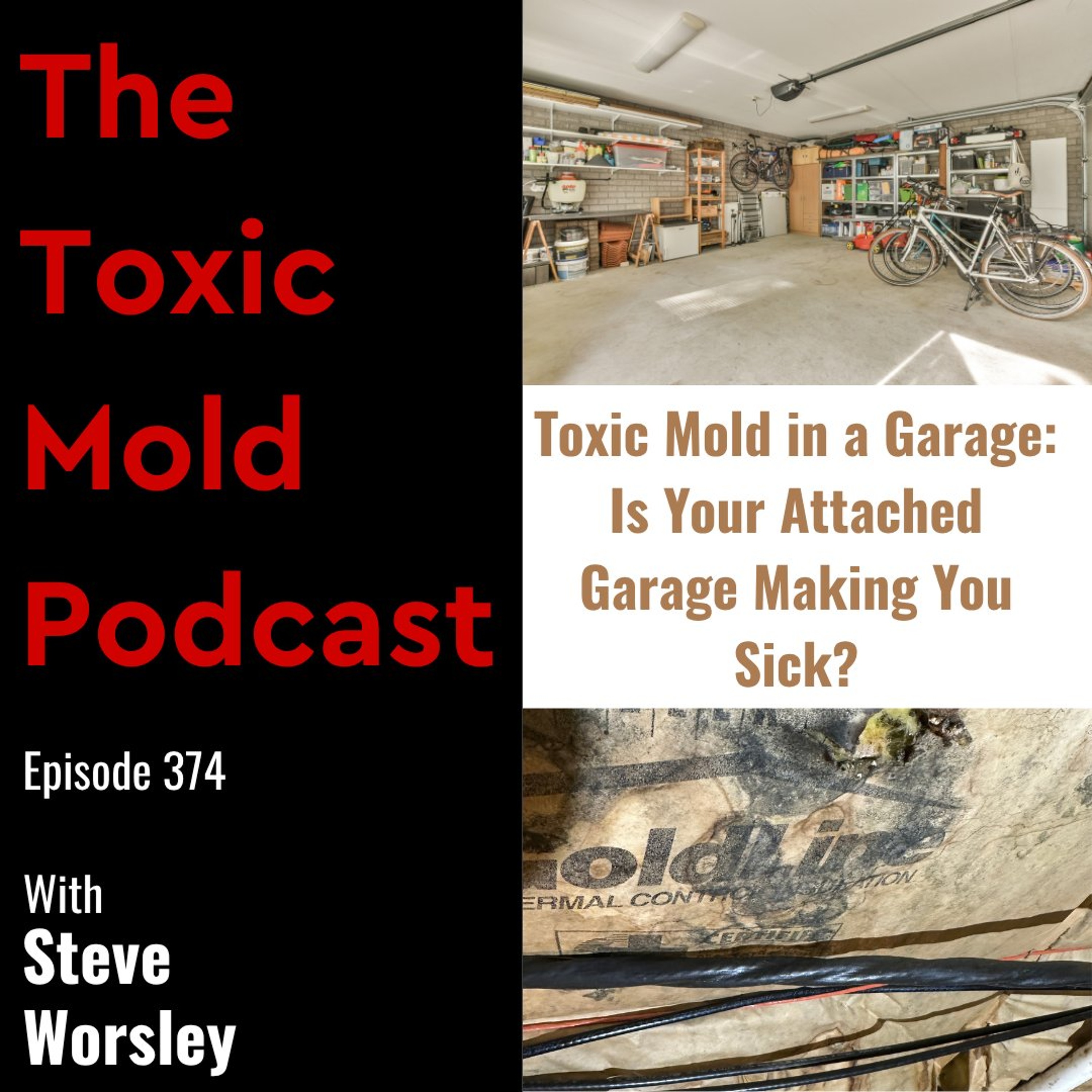 EP 374: Toxic Mold in a Garage: Is Your Attached Garage Making You Sick? episode artwork