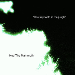 I lost my tooth in the jungle