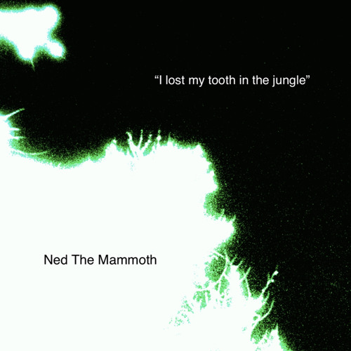 I lost my tooth in the jungle