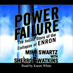 FREE PDF 📒 Power Failure: The Inside Story of the Collapse of Enron by  Karen White,