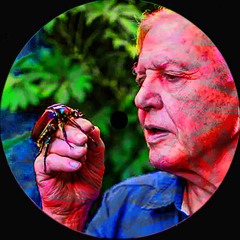 HUCKLEBERRY QUIN - MAMA ROACH (BANDCAMP EXCLUSIVE)