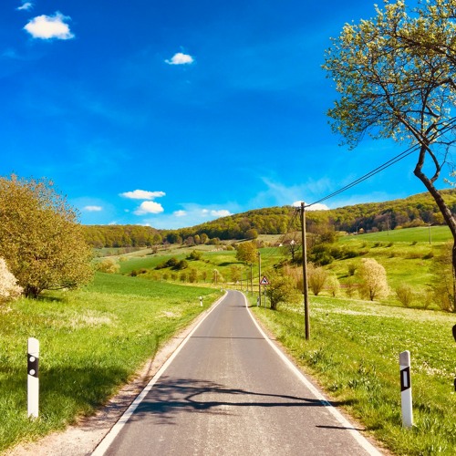 Roads and Forgetmenots