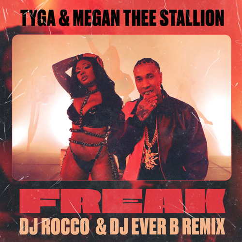 Tyga & Megan Thee Stallion - Freak (DJ ROCCO & DJ EVER B Remix)