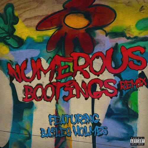 Numerous Bootings Remix (feat. Bailey Holmes Music)