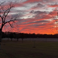 hooks-and-healing-.mp3