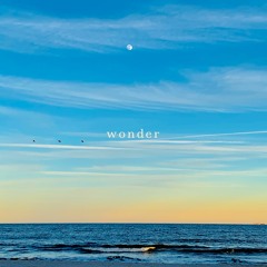 Wonder