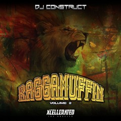 DJ Construct - "Raggamuffin Vol. 2" (91 Track Drum & Bass Ragga Mix)