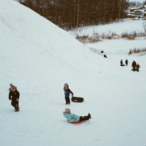 강아지가 먼저 잠든 밤