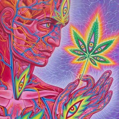 Psytrance/Forest...