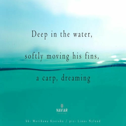 OneAmbient4 - Deep In The Water (Naviarhaiku 364)