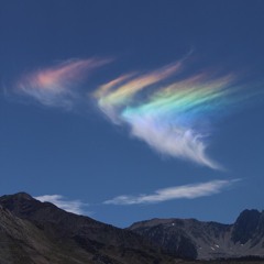 You've Got Me Here All Night