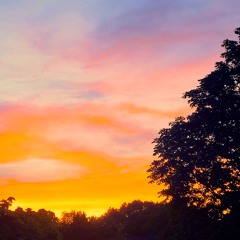 Itremindsmeofastory_chapter423