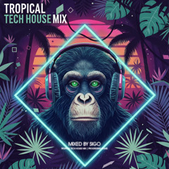 Tropical Tech House Mix