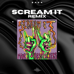 Bassjackers x MAKJ - Scream It (SAE4 Remix)