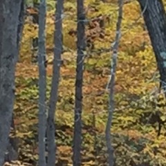 LS 12 - 27 - 20 Section 3