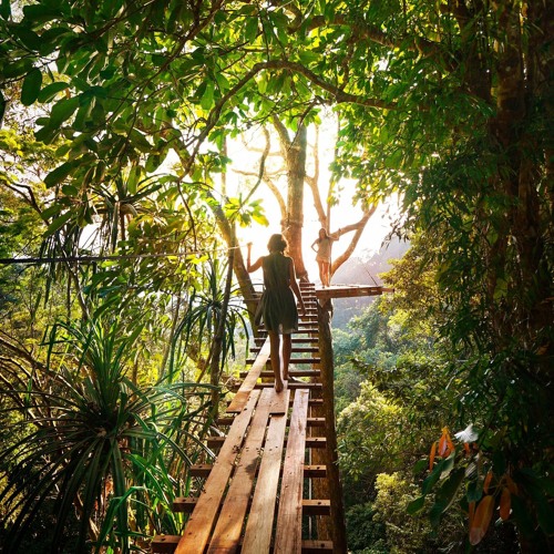 Jamaica and Caribbean vibes by  Drawback