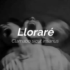 Lloraré - I'll Cry