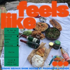 Feels Like... #05.3 - Feels like Elster kissing Saale w/ Pelle - 26.05.2024
