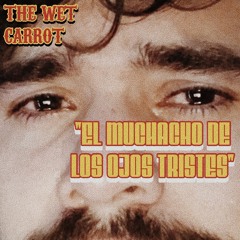 The Wet Carrot - El Muchacho De Los Ojos Tristes