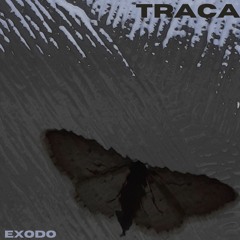 Álbum - Traça (2024)