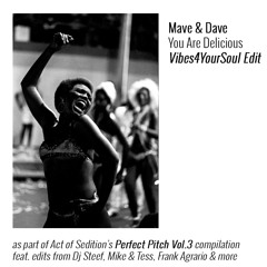 You Are Delicious (Vibes4YourSoul Edit)(Perfect Pitch Vol.3 Compilation)