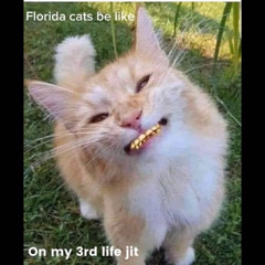 ChildishChoppa-¥Khutta(freestyle)$$