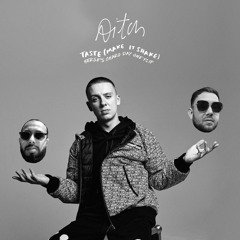 Taste (Make It Shake) Herse's 'Charo Day One' Flip.