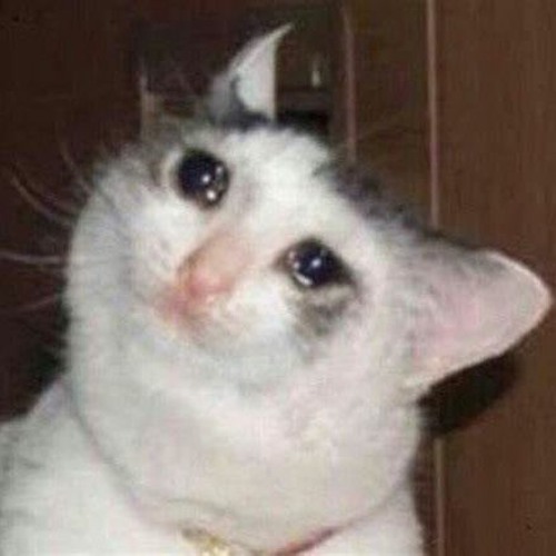 I require soop