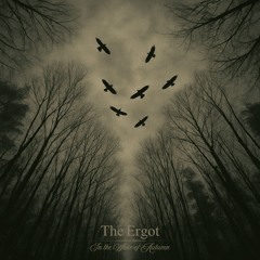 November Fog (Bonus Track)