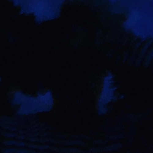 PRETTY DEMONS (feat. Vxlious)