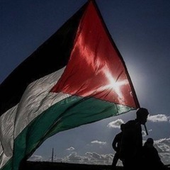 Watermelon Rhythm 🫶🍉🍉