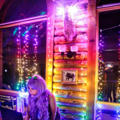 Camp Fogenburg Cozy Disco