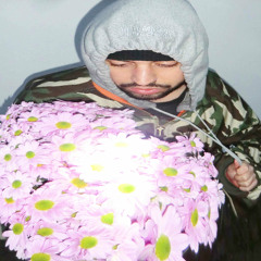 Chrysanthemen x I'm God