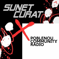 23-12-2023 Sunet Curat X PNC Radio