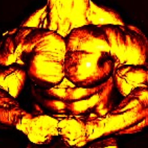 "Flex" *SoundCloud Exclusive*