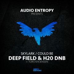 Deep Field & H20 DnB - Could Be