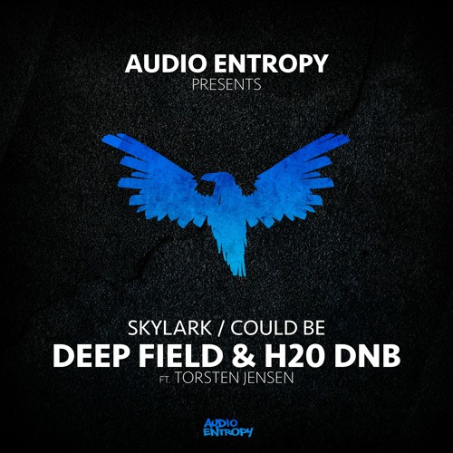 Deep Field & H20 DnB - Could Be
