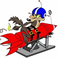 Flat Earth Accidental Rocket Death | DS060