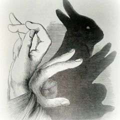 The Rabbit Hole War