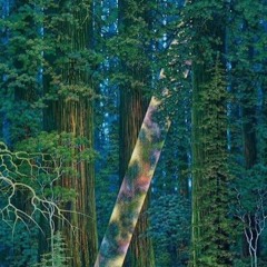 chais meme pas Feat. Ashes and Dreams